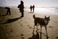 husky-beach-2008