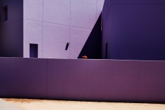 purple-redhad-2006